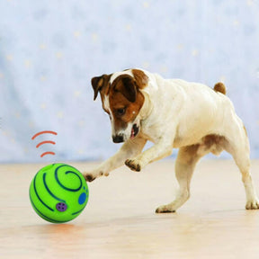 Squeaky Dog Toy Ball