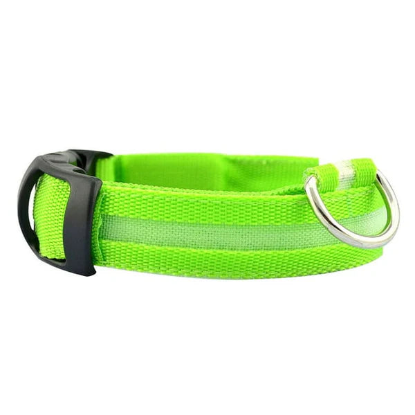 Glow Dog Collar